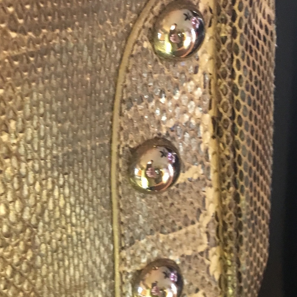 Dolce Gabana Python Purse .. - image 5